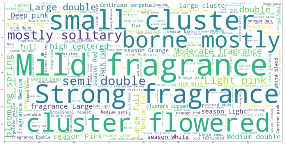 Creating WordClouds in Python from a single-column in Pandas dataframe